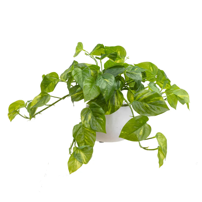 Pothos In Pot 32cm Artificial Plants