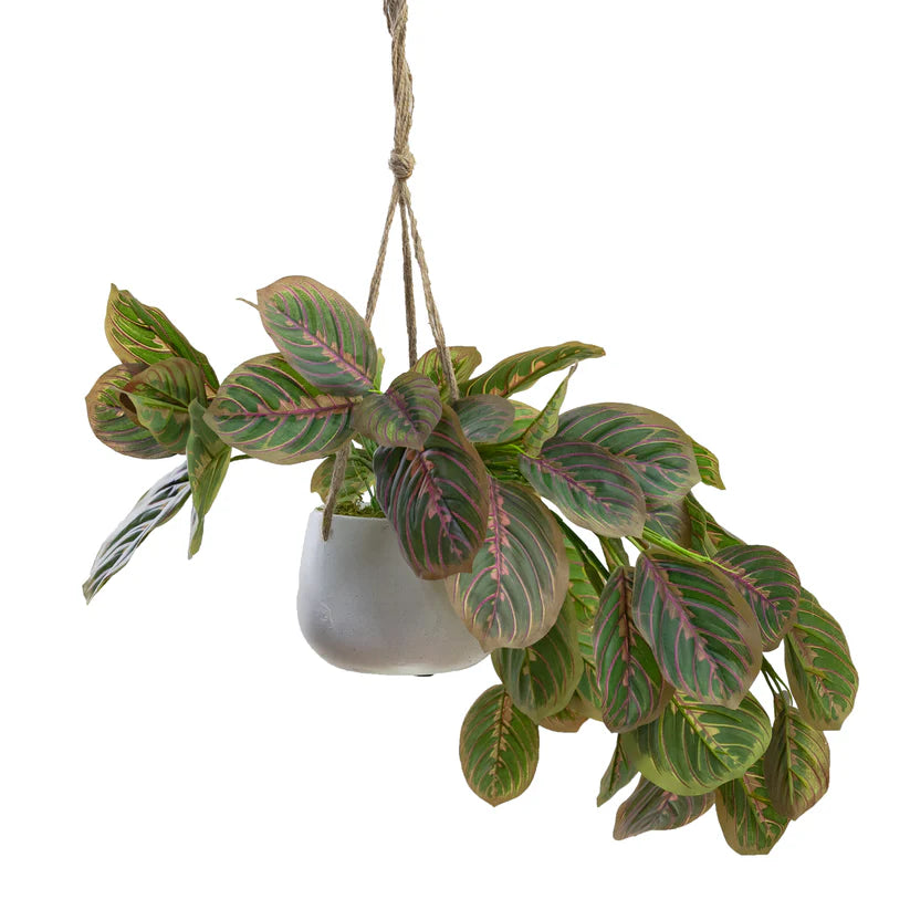 Peacock Bush in Hanging Planter 65cm Artificial Plants