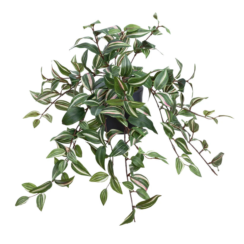 Wandering Jew in Pot 45cm Artificial Plants