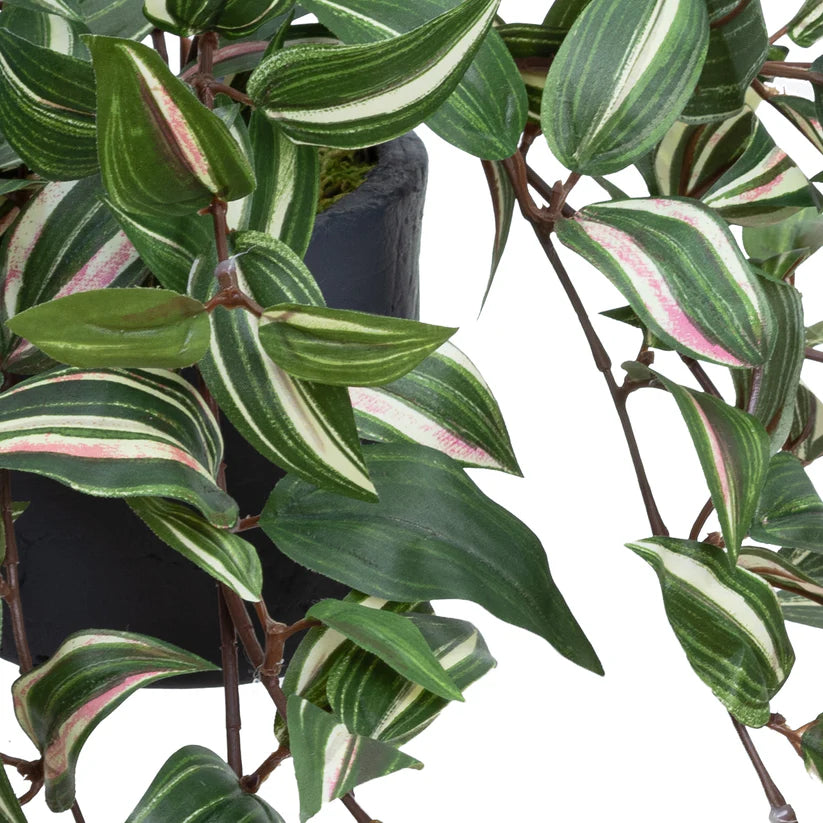 Wandering Jew in Pot 45cm Artificial Plants