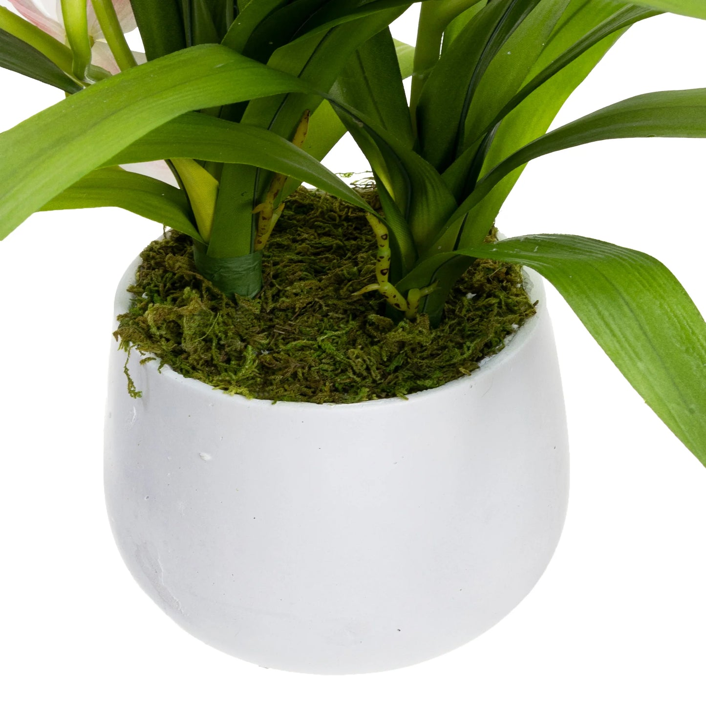 Cymbidium in Pot - Artificial Flower Arrangements and Artificial Plants