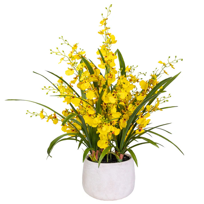 Dancing Lady Orchid in Pot - Artificial Flower Arrangements and Artificial Plants