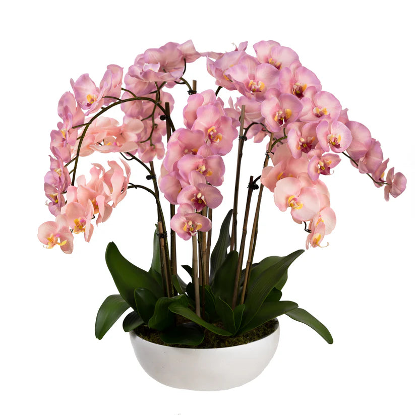 Grand Orchid in Pot (Mauve) 80cm Artificial