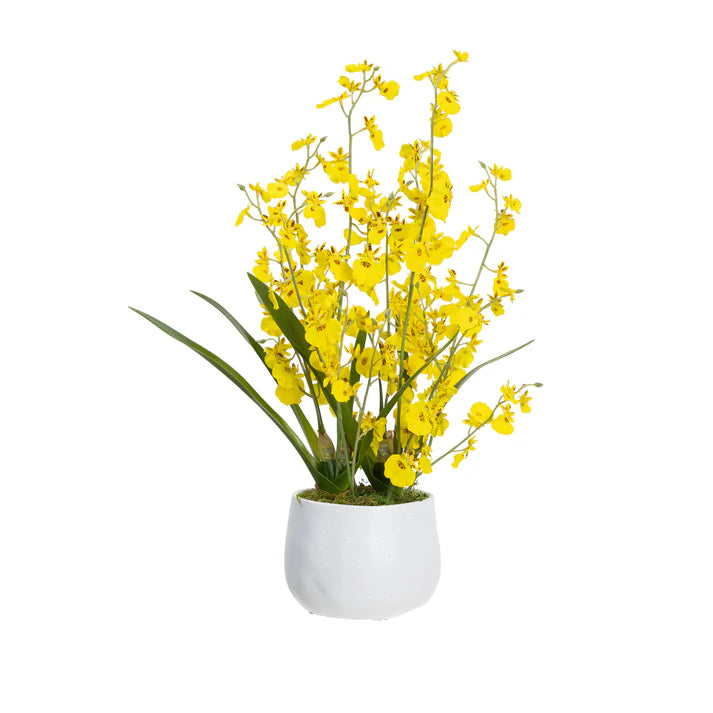 Dancing Lady in Pot 50cm Artificial
