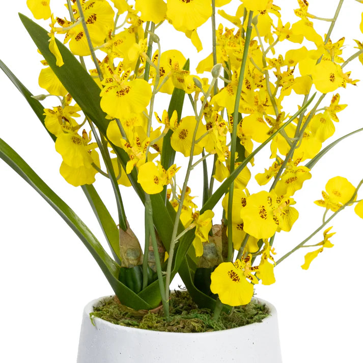Dancing Lady in Pot 50cm Artificial