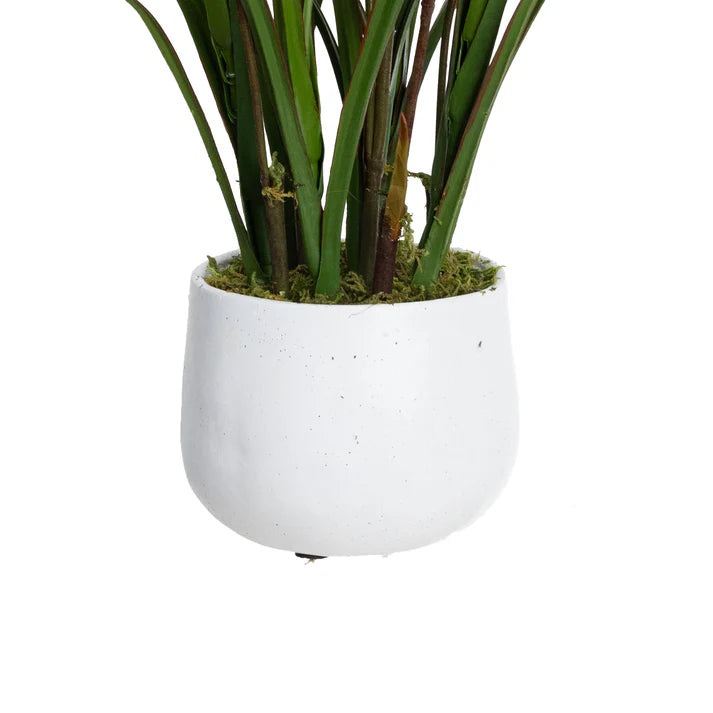 Kangaroo Paw in Pot 58cm Artificial