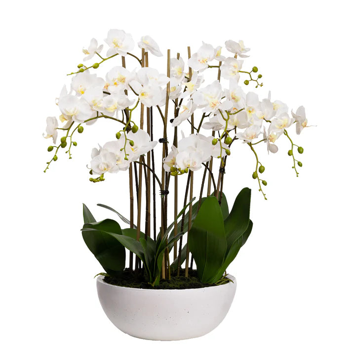 Orchid in Bowl 75cm Artificial