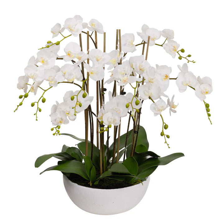 Orchid in Bowl 75cm Artificial
