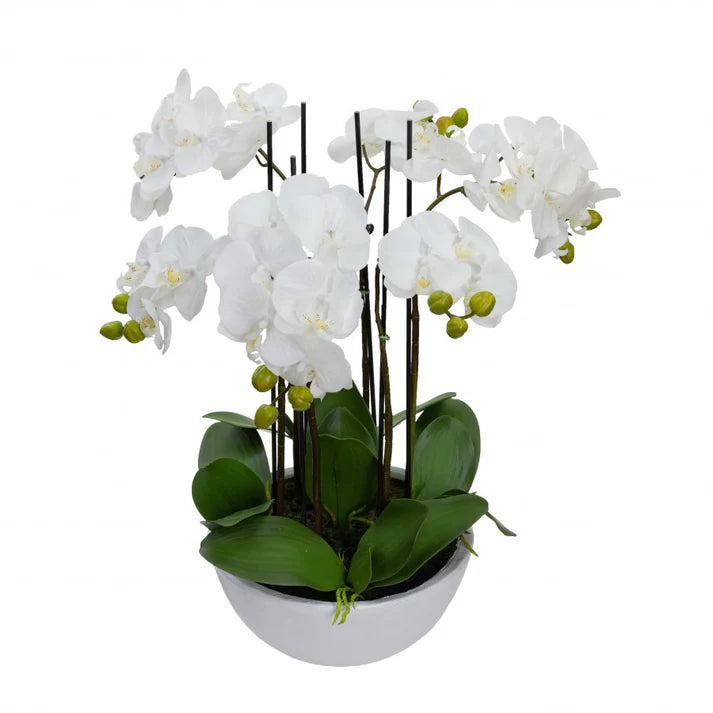 Phal Orchid in White Pot 55cm Artificial