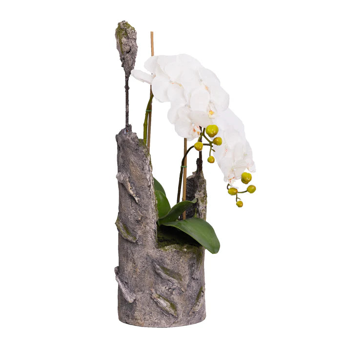 Orchid in Cement 65cm Artificial