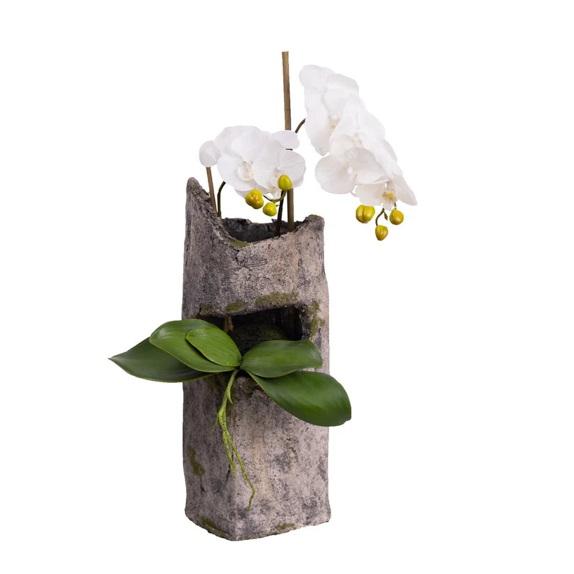 Orchid Pair in Cement 65cm Artificial