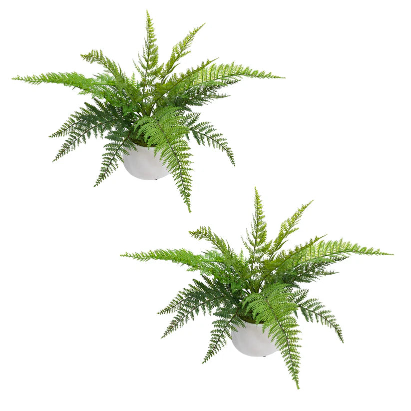 Leather Fern Set of 2 Artificial Plants
