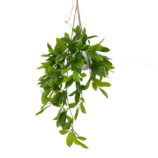 Laurel Leaf Bush in Hanging Planter Artificial Plants
