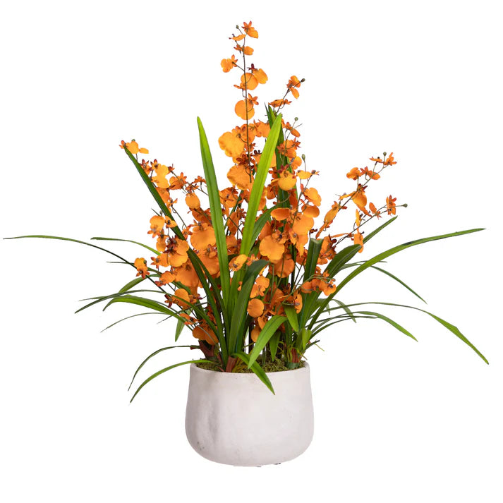 Dancing Lady Orchid in Pot - Artificial Flower Arrangements and Artificial Plants