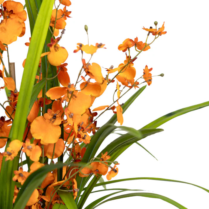 Dancing Lady Orchid in Pot - Artificial Flower Arrangements and Artificial Plants