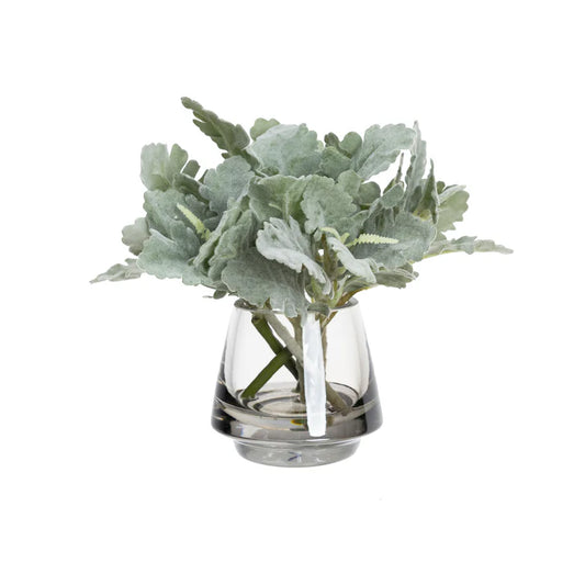 Dusty Miller in Glass 20cm Artificial