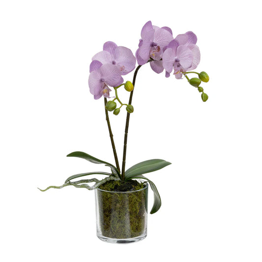 Orchid in Cylinder Glass 40cm Artificial Flower Arrangements and Artificial Plants