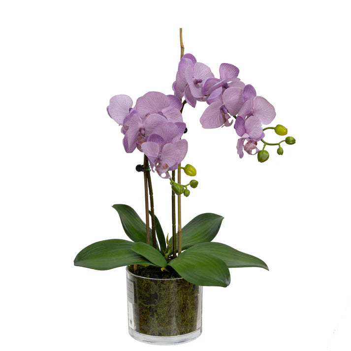 Orchid in Cylinder Glass  Artificial Flower Arrangements and Artificial Plants