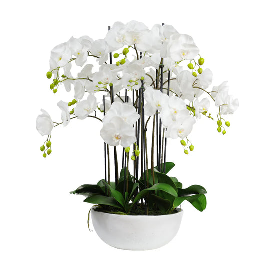 Orchid in Ceramic Bowl 90cm Artificial
