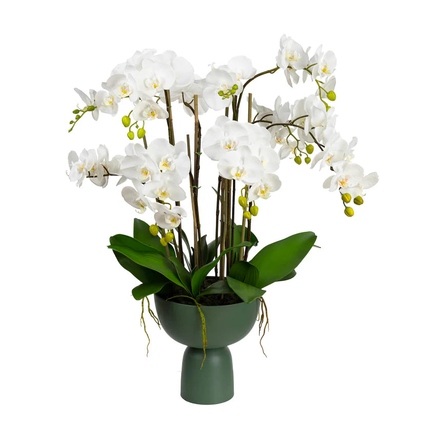 Orchid in Green Pedestal Bowl 92cm Artificial