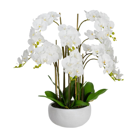 Orchid in Ceramic Bowl 90cm Artificial