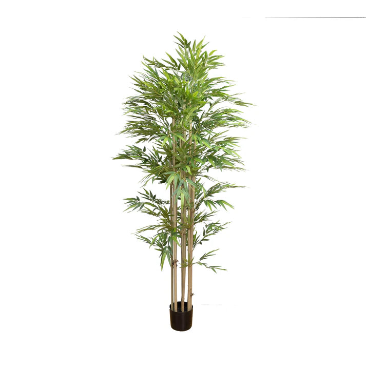 Chinese Bamboo Tree 200cm Artificial