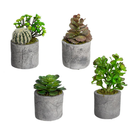 Faux Assorted Succulents Set of 4