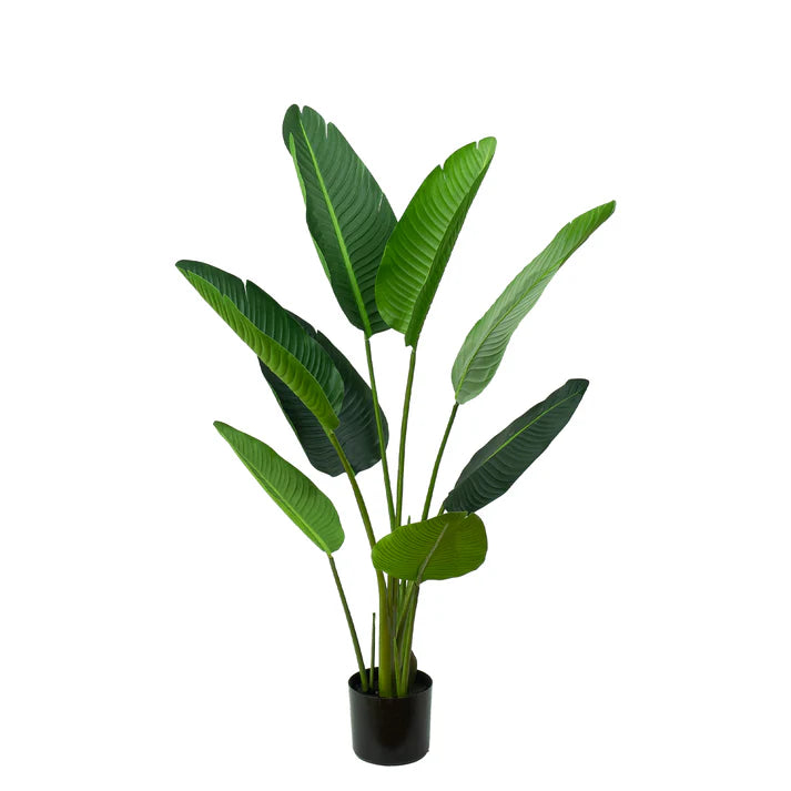 Traveler Palm Tree 120cm Artificial Plants