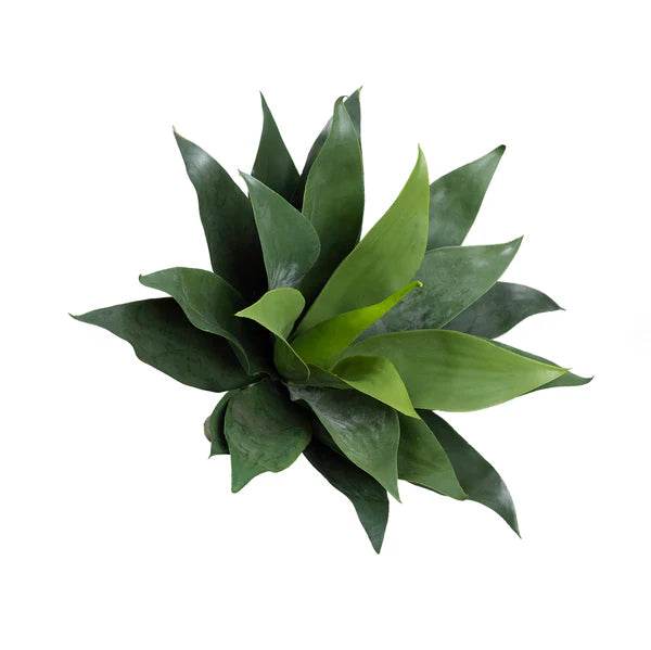 Agave Bush 35cm Artificial