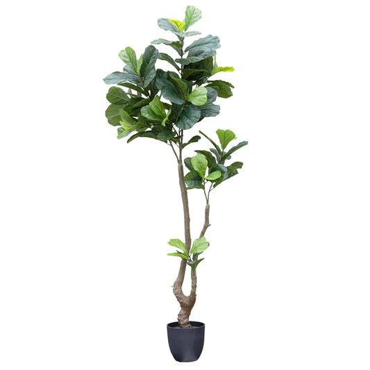 Fiddle Leaf Tree in Pot 195cm Artificial