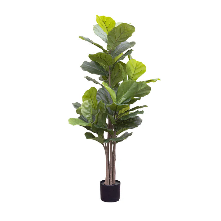 Giant Fiddle Leaf Tree in Pot 152cm Artificial