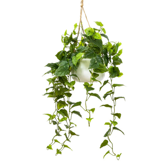 Philo Bush in Hanging Planter - Artificial Flower Arrangements and Artificial Plants