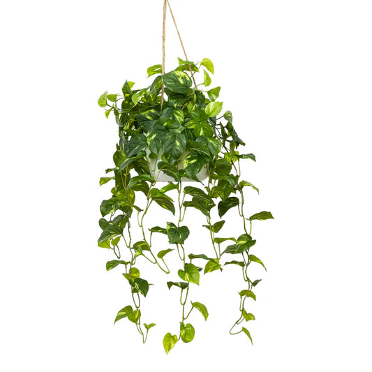 Pothos Bush in Hanging Planter 104cm Artificial Plants