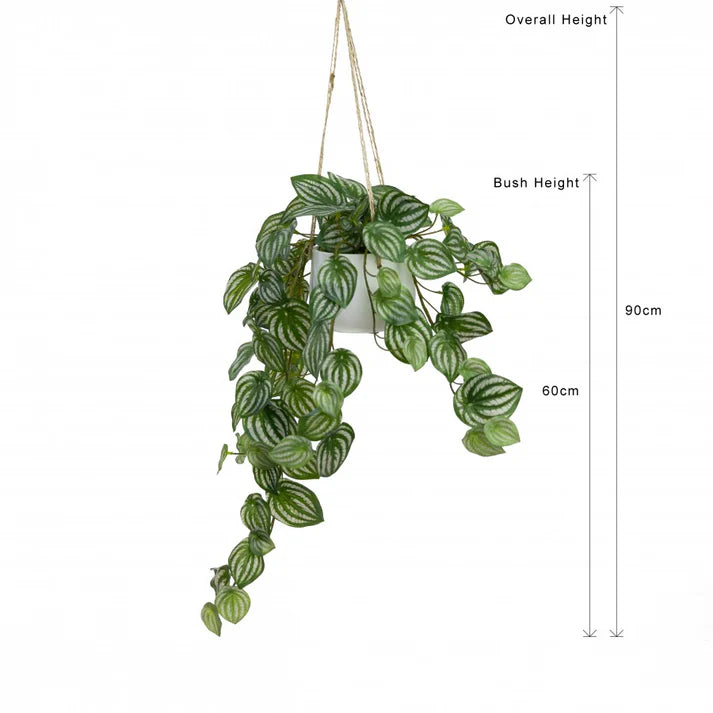Watermelon Pepromia in Hanging Planter 60cm Artificial Plants