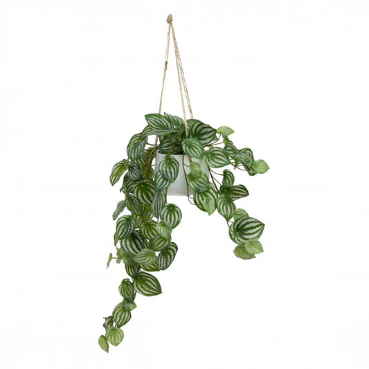 Watermelon Pepromia in Hanging Planter 60cm Artificial Plants