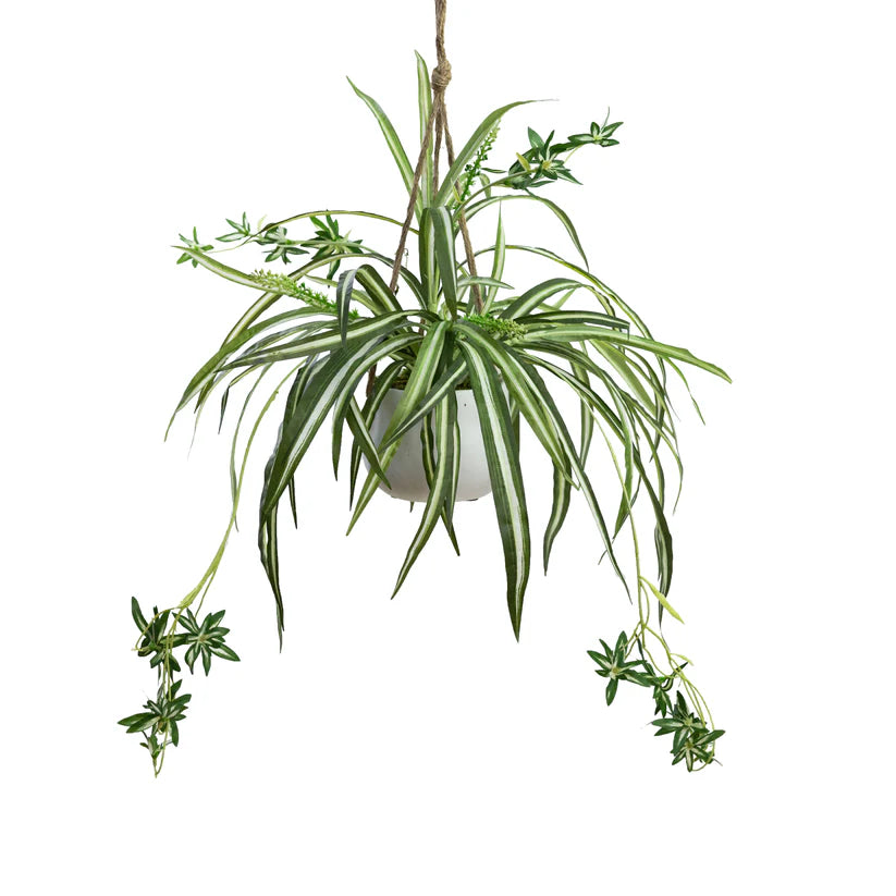 Spider Plant in Hanging Planter 70cm Artificial Plants
