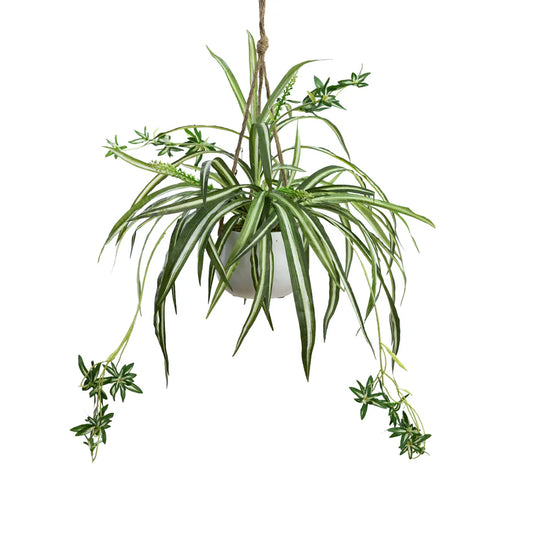 Spider Plant in Hanging Planter 70cm Artificial Plants