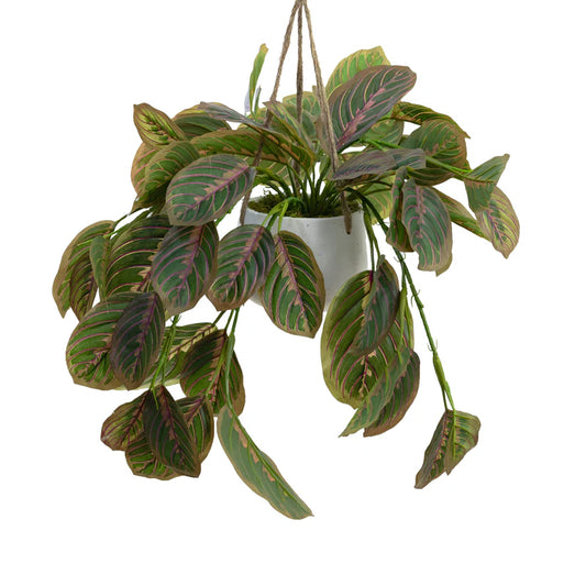 Peacock Bush in Hanging Planter 65cm Artificial Plants