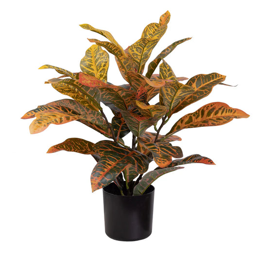 Croton Plant 50cm Artificial Plants