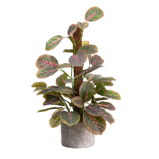 Peacock Bush on Pole 73cm Artificial