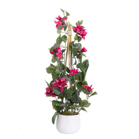Climbing Bougainvillea 72cm Artificial
