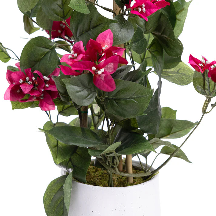 Climbing Bougainvillea 72cm Artificial