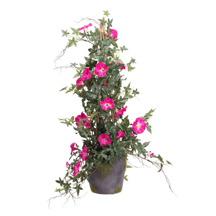 Climbing Morning Glory (Beauty) in Grey Pot 73cm Artificial