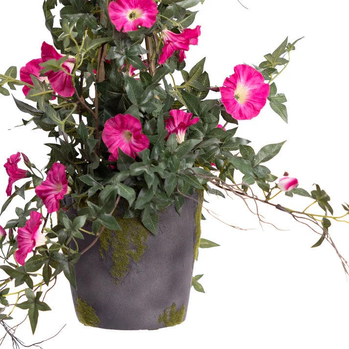 Climbing Morning Glory (Beauty) in Grey Pot 73cm Artificial
