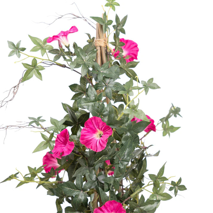 Climbing Morning Glory (Beauty) in Grey Pot 73cm Artificial