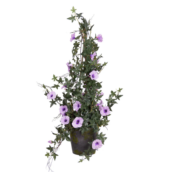 Climbing Morning Glory (Lavendar) in Grey Pot 73cm Artificial