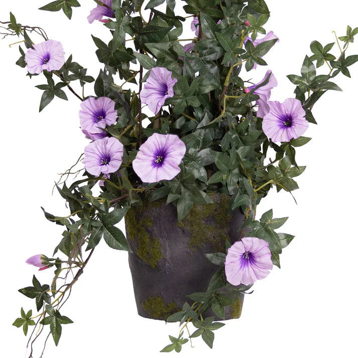 Climbing Morning Glory (Lavendar) in Grey Pot 73cm Artificial