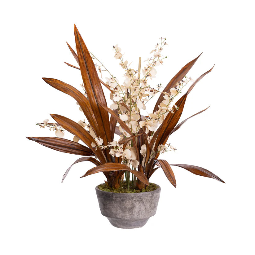 Dried Look Dancing Lady in Pot (Beige) 75cm Artificial