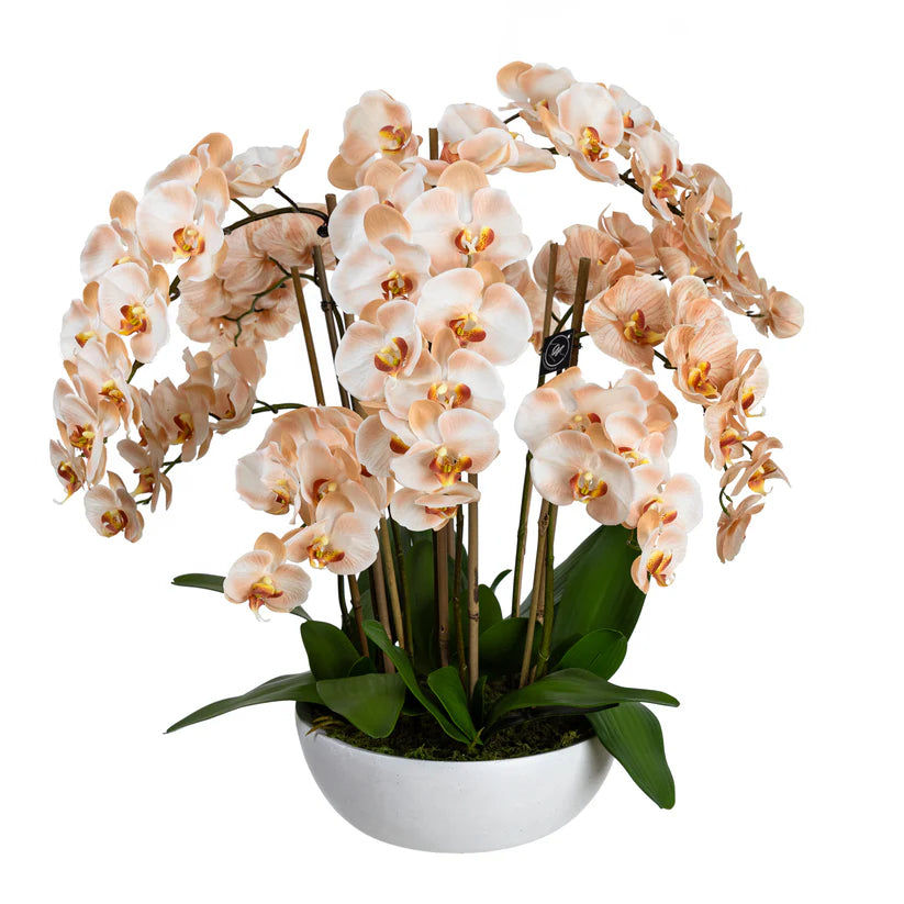Grand Orchid in Pot (Salmon) 80cm Artificial