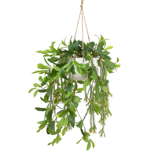 Laurel in Hanging Pot 103cm Artificial